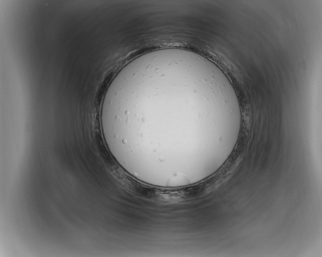 X0000116580359200912101315