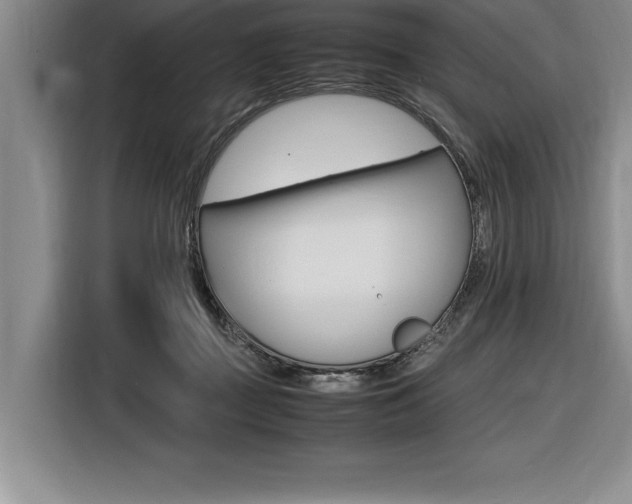X0000116580363200912101315