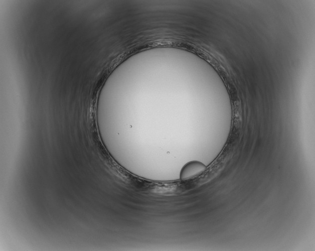 X0000116580369200912101315