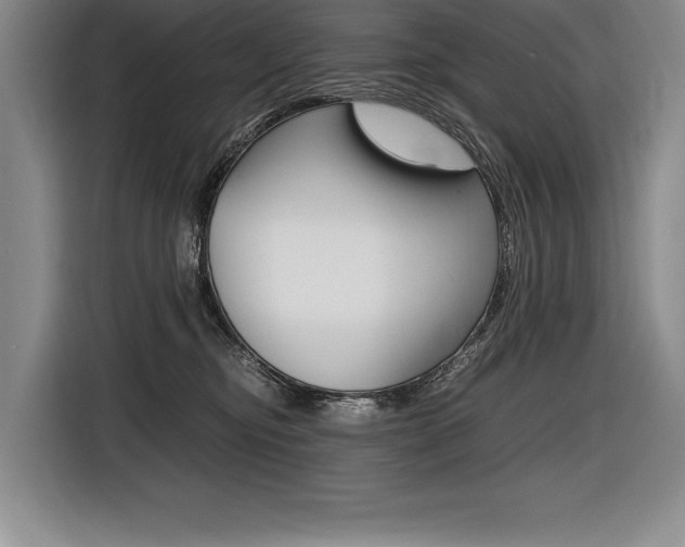 X0000116580374200912101315