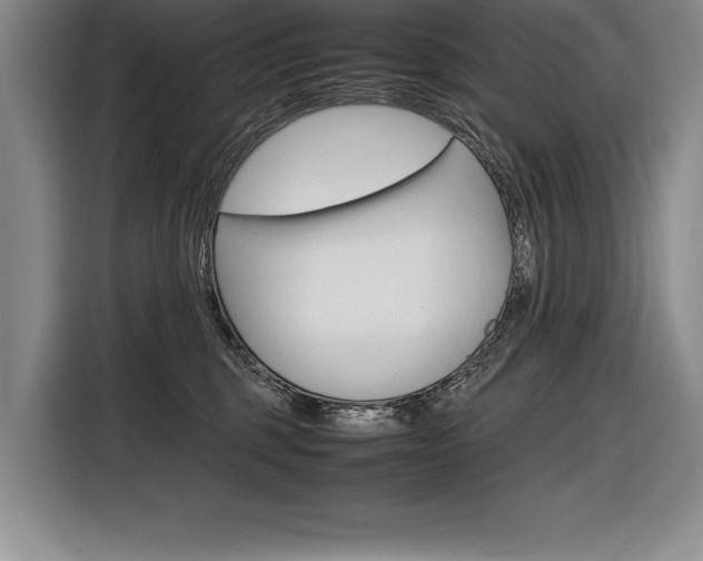 X0000116580375200912101315