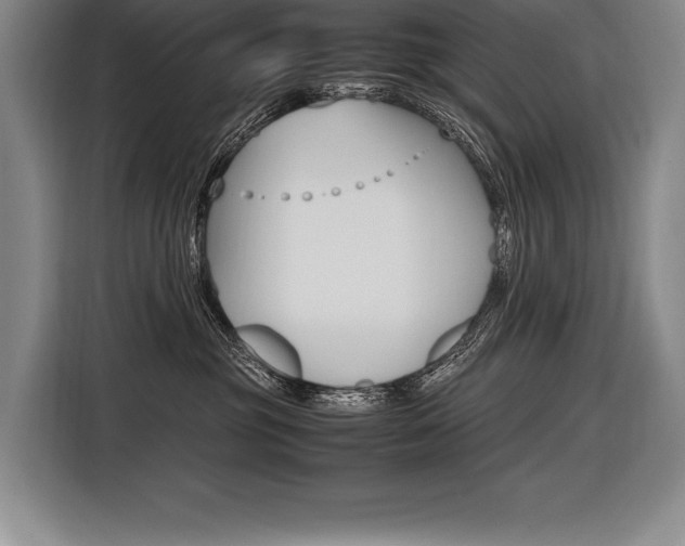 X0000116580381200912101315