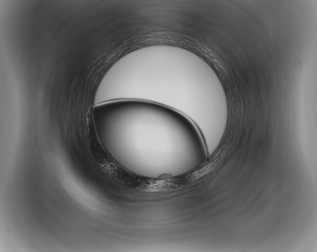 X0000116580382200912101315