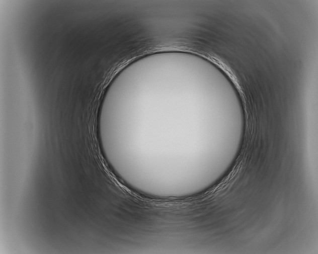 X0000116580385200912101314