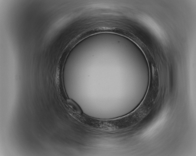 X0000116580387200912101314