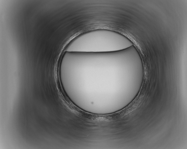 X0000116580390200912101314