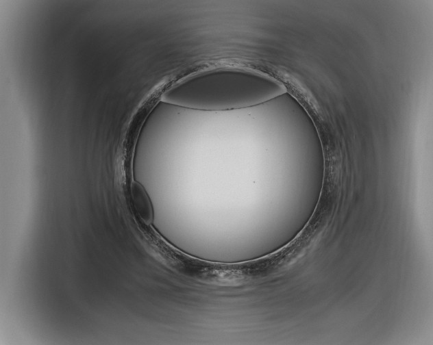 X0000116580395200912101314