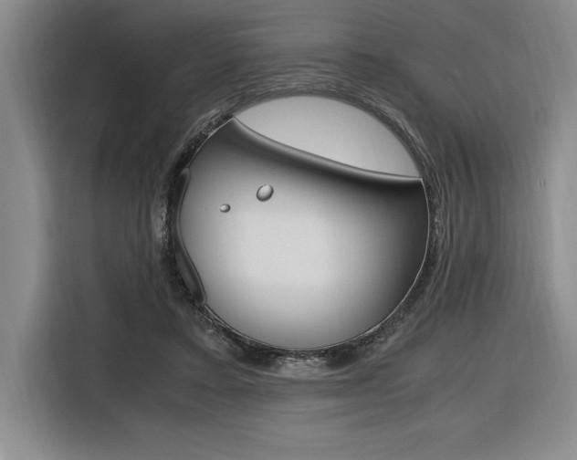 X0000116580403200912101314