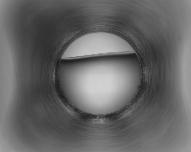 X0000116580404200912101314
