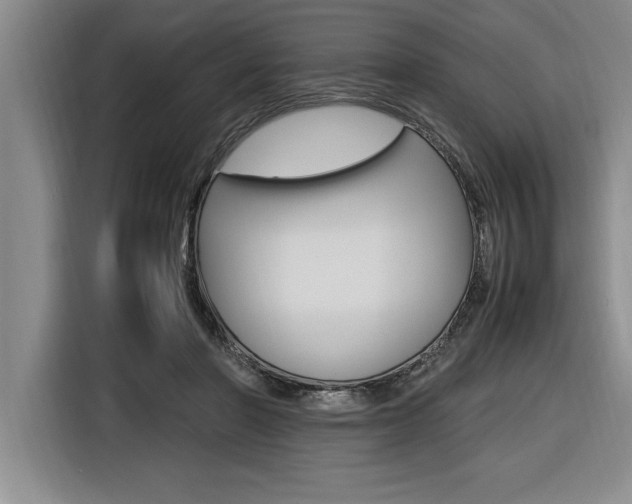 X0000116580406200912101314