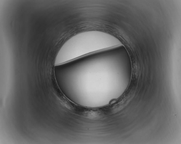 X0000116580412200912101314