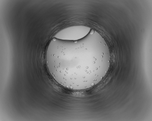 X0000116580422200912101314