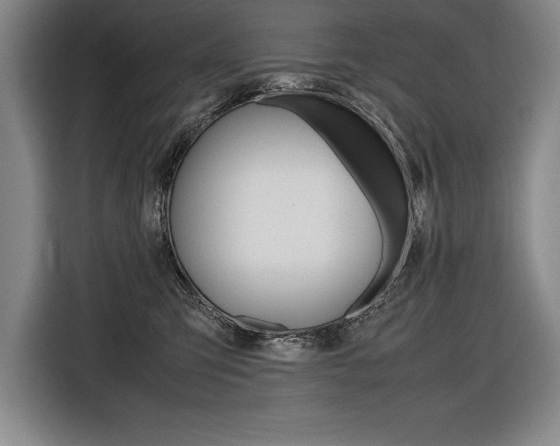 X0000116580423200912101314