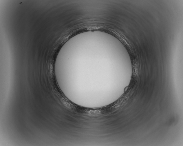 X0000116580426200912101314