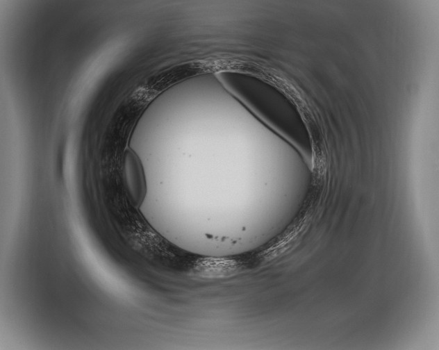 X0000116580429200912101313