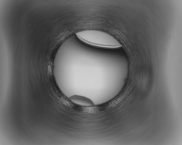 X0000116580432200912101313