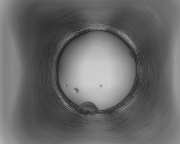 X0000116580433200912101313