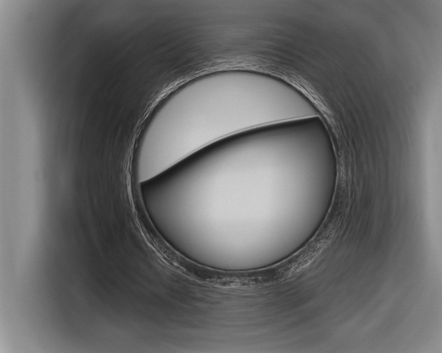 X0000116580434200912101313