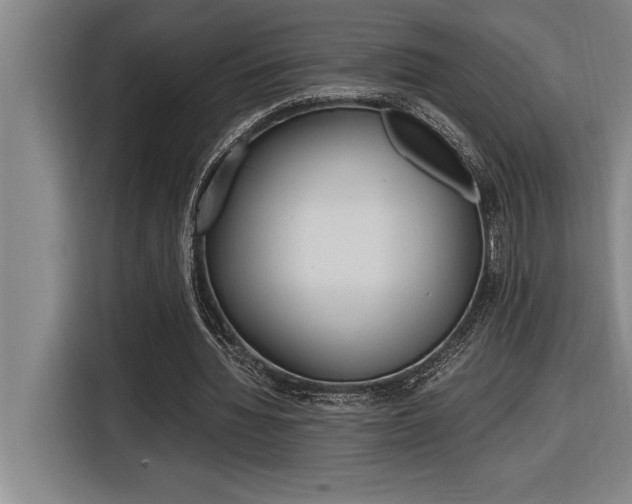 X0000116580436200912101313