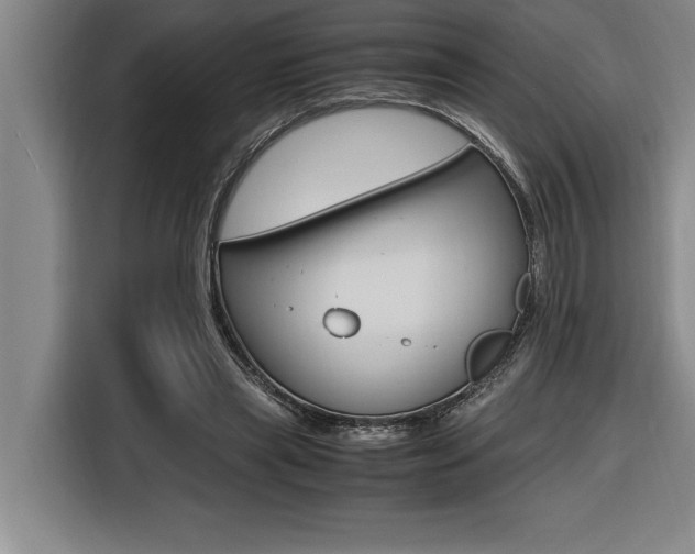 X0000116580445200912101313