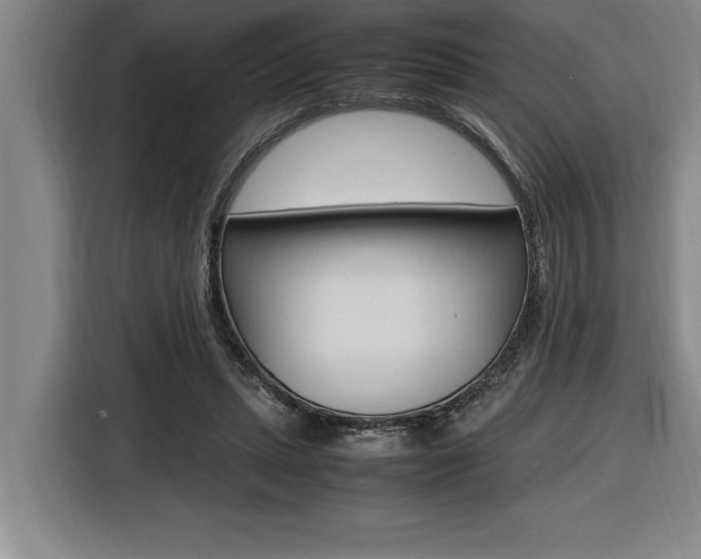 X0000116580447200912101313