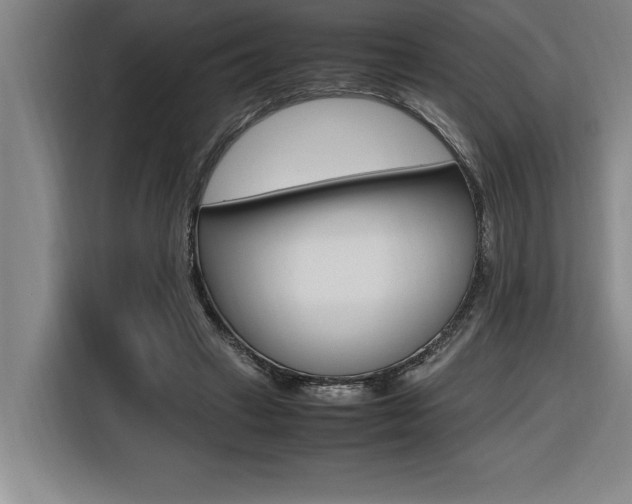 X0000116580449200912101313