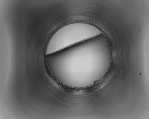 X0000116580454200912101313