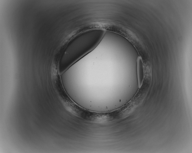 X0000116580456200912101313