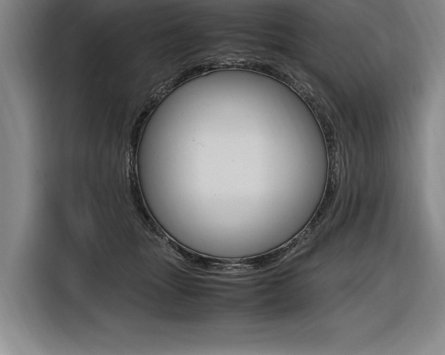 X0000116580463200912101313