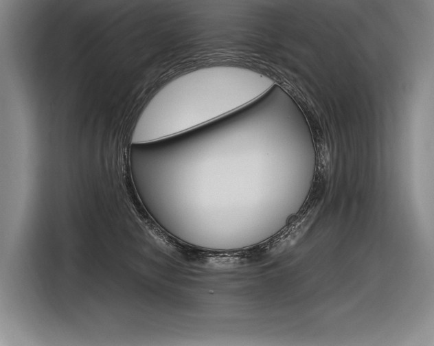 X0000116580470200912101313