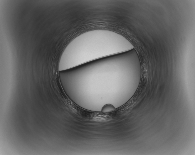 X0000116580471200912101313