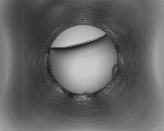 X0000116580475200912101313