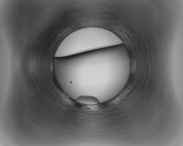 X0000116580478200912101313