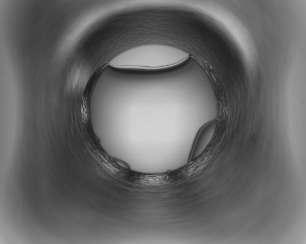 X0000116580479200912101313