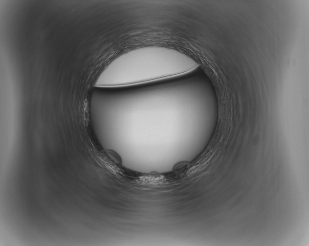 X0000116580480200912101313