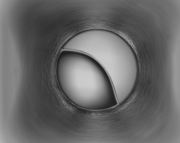X0000116580481200912101313