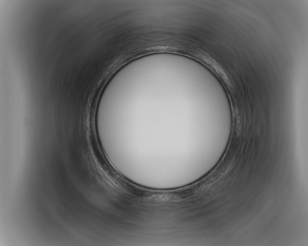 X0000116580482200912101313