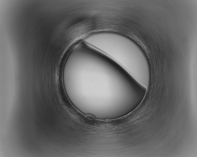 X0000116580483200912101313