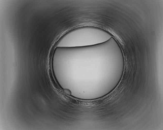 X0000116580486200912101313