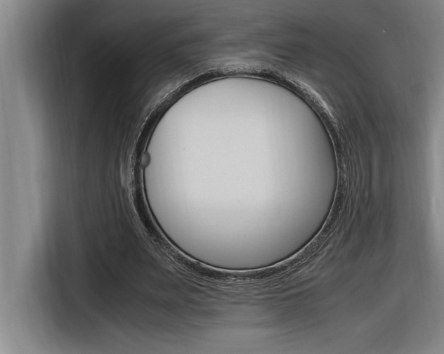 X0000116580487200912101313