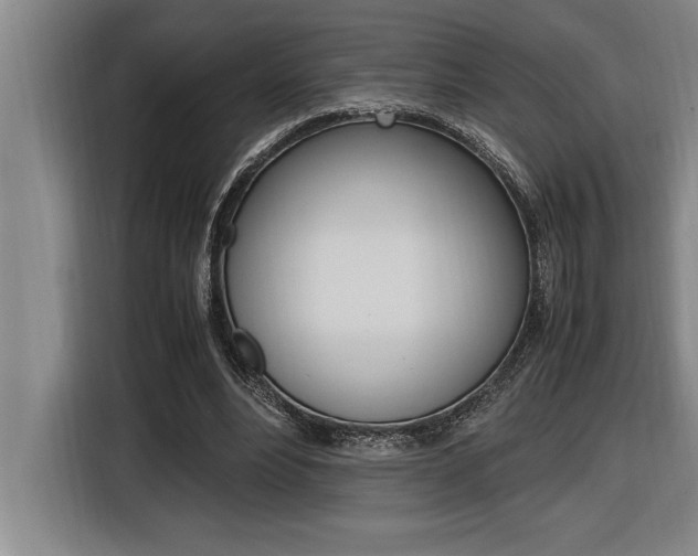 X0000116580488200912101313