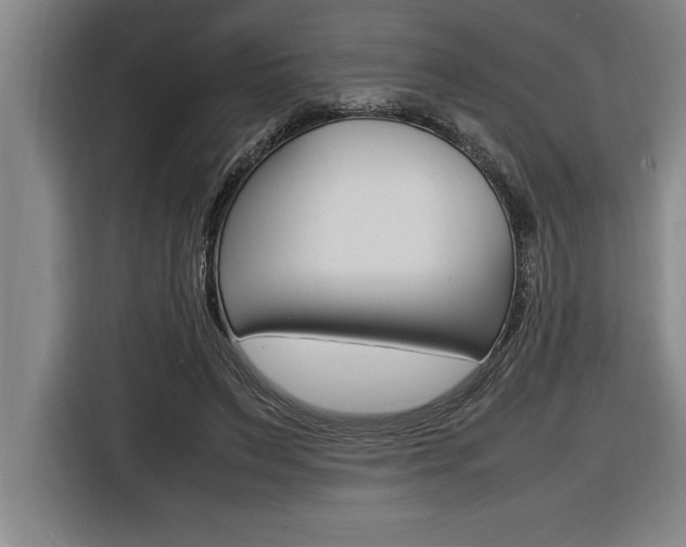 X0000116580495200912101313