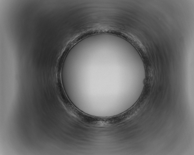 X0000116580496200912101312
