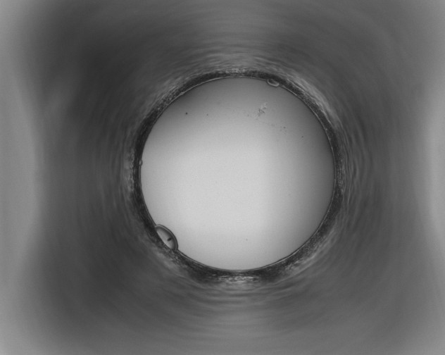 X0000116580497200912101312