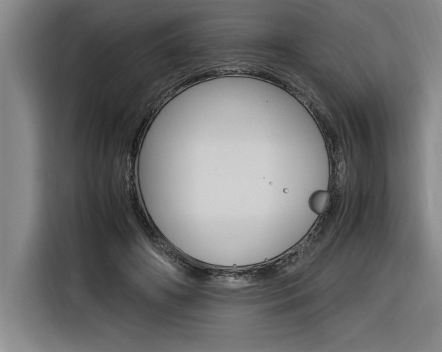 X0000116580498200912101312