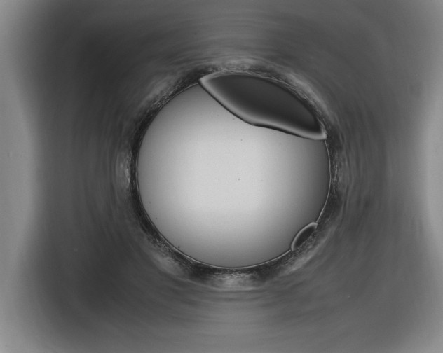 X0000116580501200912101312