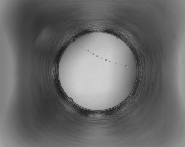 X0000116580503200912101312