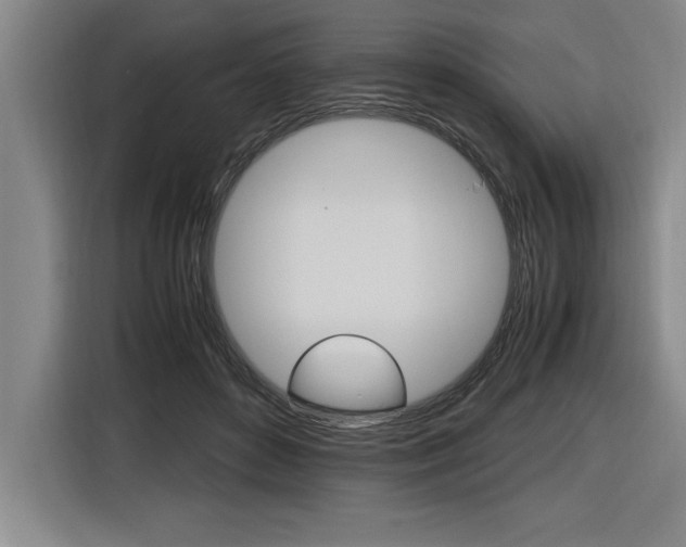 X0000116580504200912101312