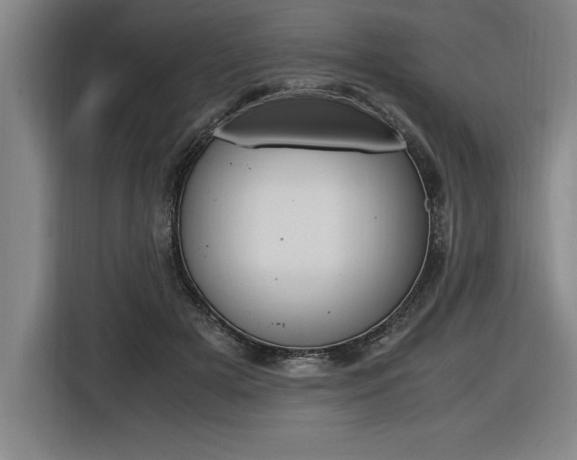 X0000116580505200912101312