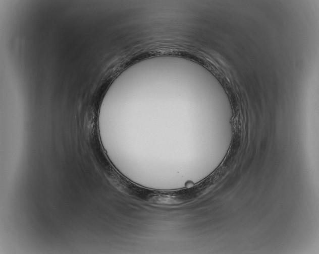 X0000116580507200912101312